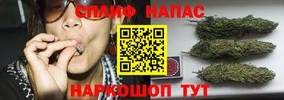 индика Обнинск
