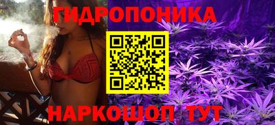 ГАЛЛЮЦИНОГЕННЫЕ ГРИБЫ Обь